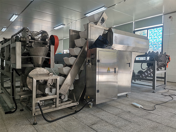 自动化鲜湿米粉欲漫涩下载的工艺应用