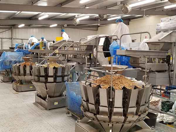 全自动欲漫涩下载智能化联动生产