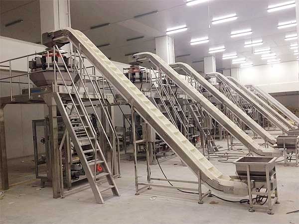 智能化全自动速冻食品欲漫涩下载提升企业生产效率