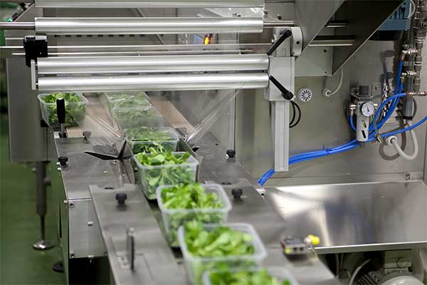 瓜果蔬菜全自动脱水蔬菜欲漫涩下载