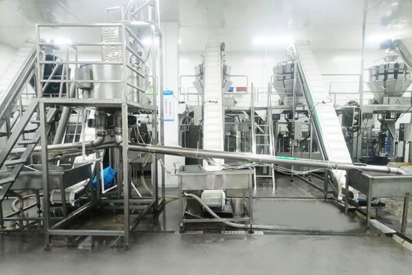 自动土豆粉欲漫涩下载及生产工艺流程